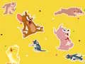 Gioco The Tom and Jerry Show Find it! in linea