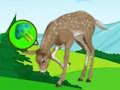 Gioco The Deer Meadow Escape in linea