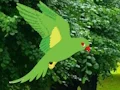 Gioco Parrot Find The Nest in linea