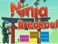 Gioco Ninja Breakout in linea