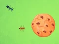 Gioco Ant vs Cookie in linea