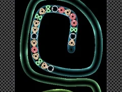 Gioco TD Neon Shoot in linea