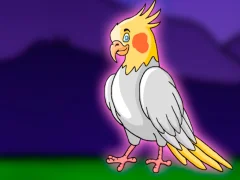 Gioco Release the Cockatiel Bird from Cage in linea