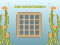 Gioco Card Match Serenity in linea
