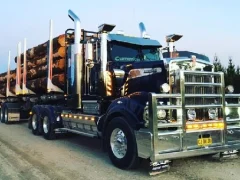 Gioco American City Truck Transporting in linea