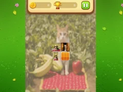 Gioco Farm Cat Memory Match in linea