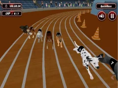 Gioco Crazyl Dog Racing Fever in linea