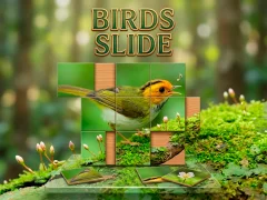 Gioco Birds Slide in linea