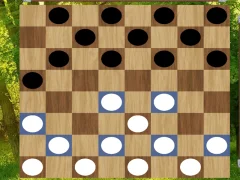 Gioco Classic Checkers: Forest in linea