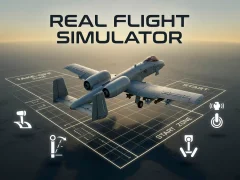 Gioco Real Flight Simulator in linea