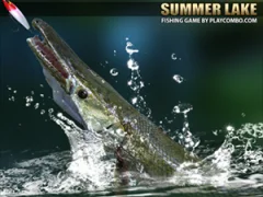 Gioco Summer Lake in linea