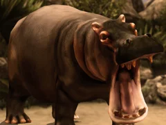 Gioco Wild Hippopotamus Hunting in linea