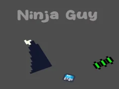 Gioco Ninja Guy in linea