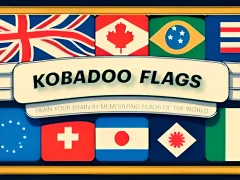 Gioco Kobadoo Flags in linea