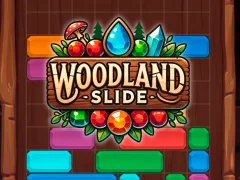Gioco Woodland Slide in linea