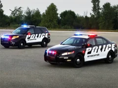 Gioco Police Cars Puzzle in linea