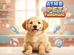 Gioco Asmr Pet Treatment in linea