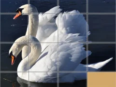 Gioco Animals Slide Puzzle in linea