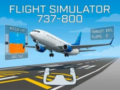 Gioco Flight Simulator 737-800 in linea