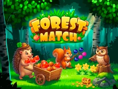 Gioco Forest Match in linea