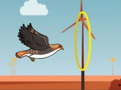 Gioco Flying bird in linea