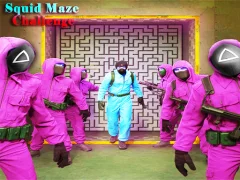 Gioco Squid Maze Challenge in linea