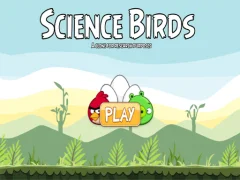 Gioco Science Birds in linea
