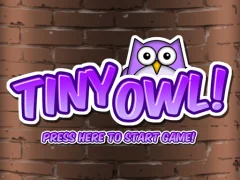 Gioco Tiny Owl in linea