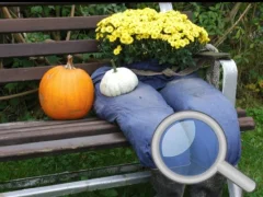Gioco Autumn Garden Find 100 butterflies in linea