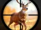 Gioco Wild Hunting Clash in linea