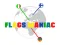 Gioco Flags Maniac in linea