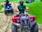 Gioco Quad Bike Off Road Racing in linea
