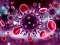 Gioco Coronavirus Puzzle in linea