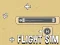 Gioco Flight Sim in linea