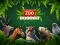 Gioco ZOO Trivia in linea