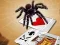 Gioco Jumping Spider in linea