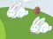 Gioco Crazy Eggs in linea