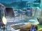 Gioco The Mysterious Creatures in linea