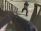 Gioco Western:Invasion in linea