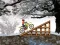 Gioco Ice Biker in linea