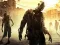 Gioco Stupid Zombies Hunt in linea