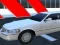 Gioco Luxury Wedding Limousin Car in linea