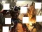 Gioco Transformers 3 image puzzles in linea