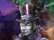 Gioco Citizens of Darkness in linea