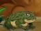 Gioco Frogs Matching in linea