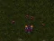 Gioco Starcraft 3 in linea