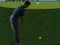 Gioco Flash Golf 3D in linea