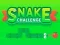 Gioco Snake Challenge in linea