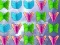 Gioco Butterfly Collector in linea