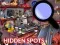 Gioco Hidden Spots In The Room in linea
